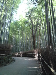 嵯峨野竹林