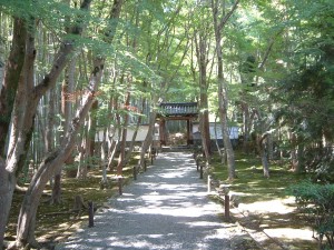 地蔵院（竹の寺）