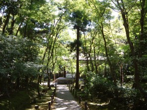 地蔵院（竹の寺）