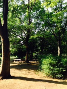 早朝の萩中公園