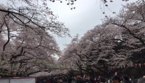 上野公園