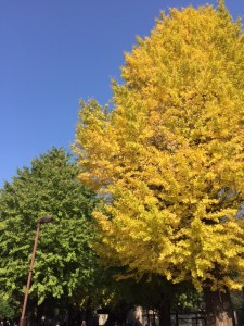 上野動物園